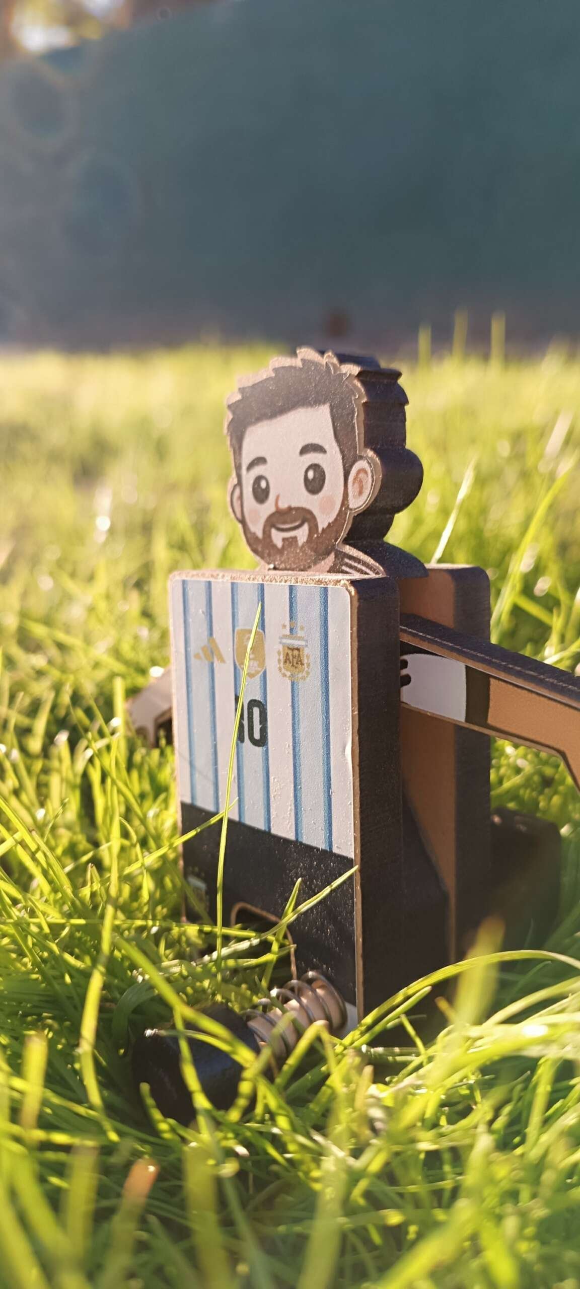 MUÑE DE LA SELECCIÓN🇦🇷 - Imagen 3